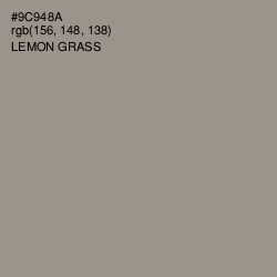 #9C948A - Lemon Grass Color Image